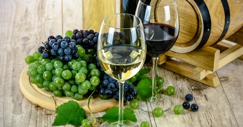 Voyage sensoriel en Espagne : les régions incontournables pour une dégustation de vins
